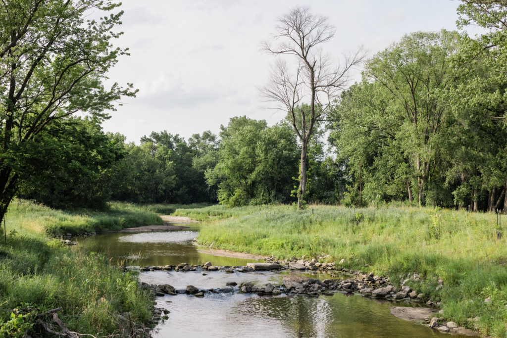 Beautiful outdoors helped by Meta Grant