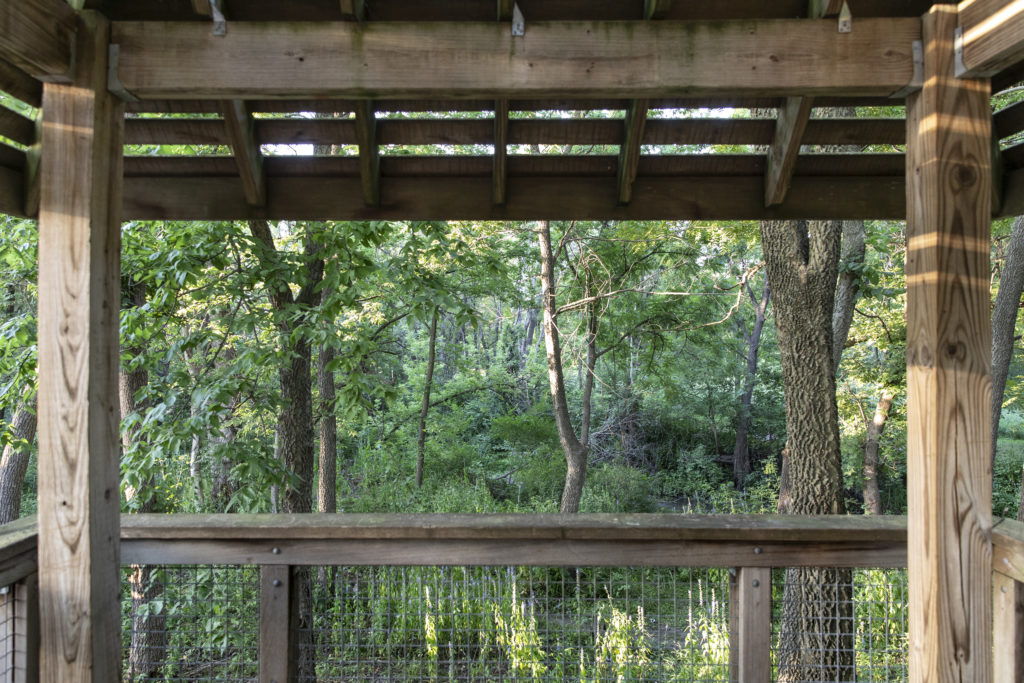 Park Shelter at Walker Johnston Park in Urbandale