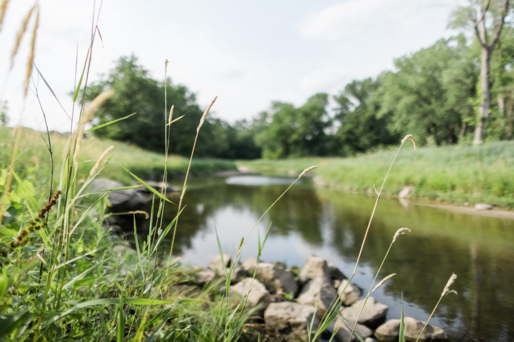 Beautiful Iowa Streams for World Conservation Day