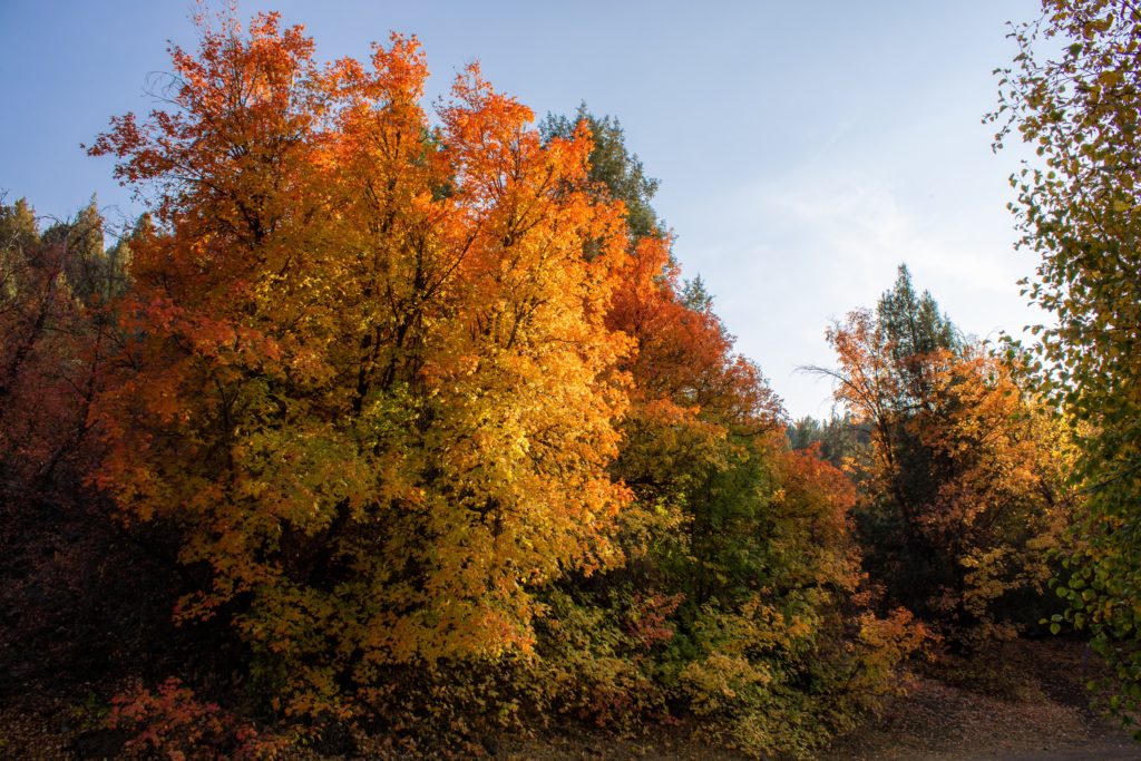 fall recreation in Iowa