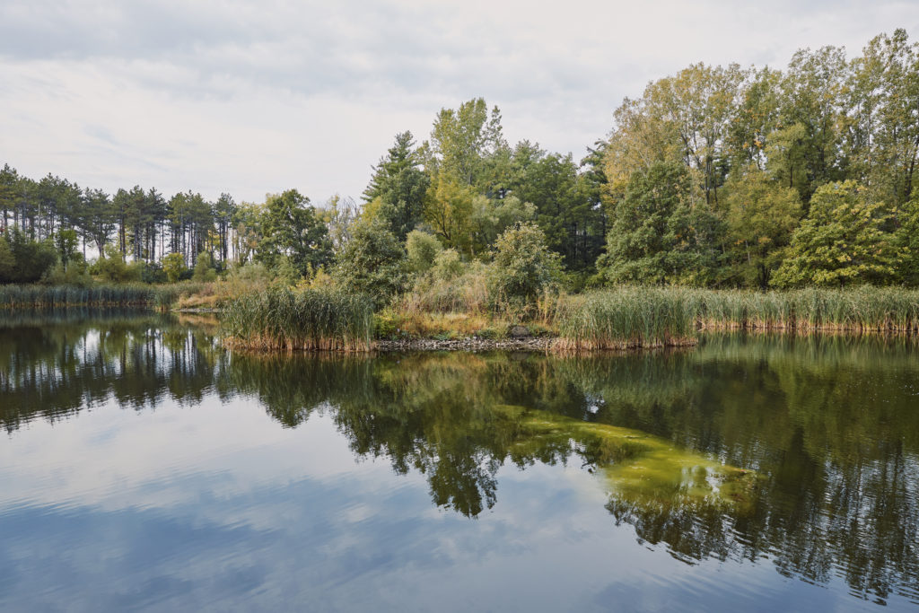 Beautiful lake and landscape