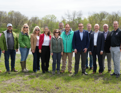 Creekview Wetland Dedication