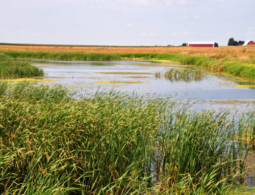 Great Outdoors Foundation CEO Issues Open Letter Regarding Central Iowa Water Works Usage Reduction Plan