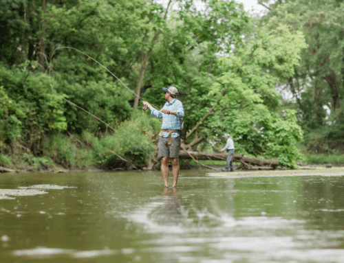 Plan Your Next Summer Outing at Great Outdoors Foundation Sites