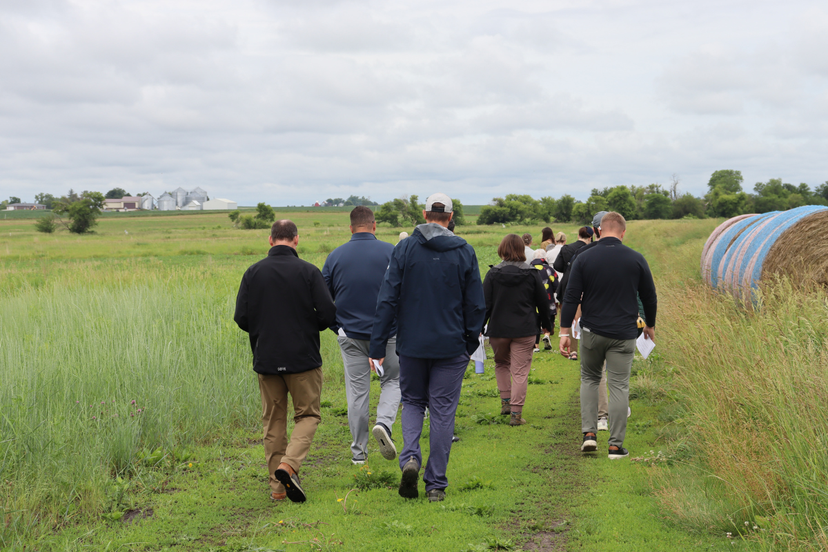 2025 Year in Review blog