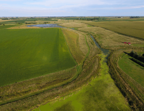 2026 Conservation Acceleration Fund (CAF) Projects: A Look Ahead