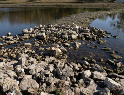 RELEASE: Great Outdoors Foundation, Microsoft Invest in Legacy Woods Nature Sanctuary Stormwater Wetland & Prairie Restoration