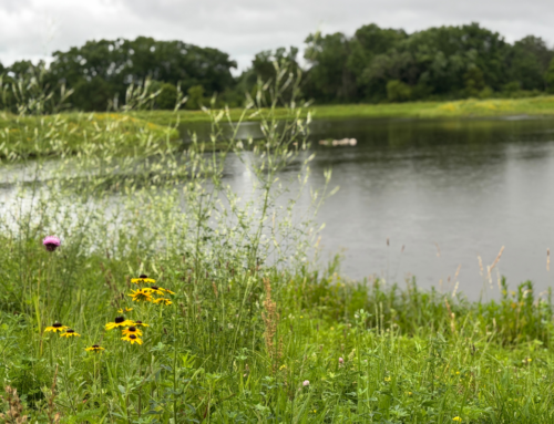 2025 Annual Report: A Year in Review