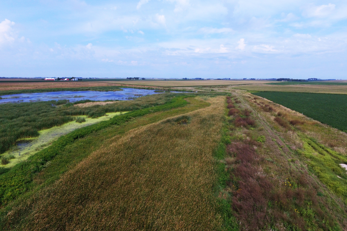 Wetland