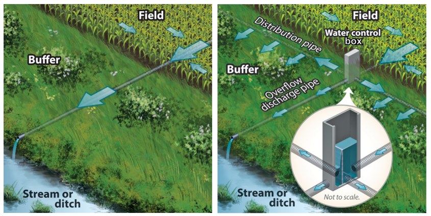 Saturated buffer graphic