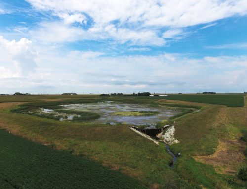 Water Quality Projects 101