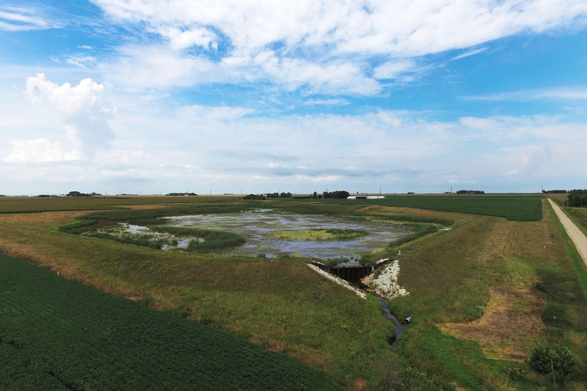 wetland Water Quality 101