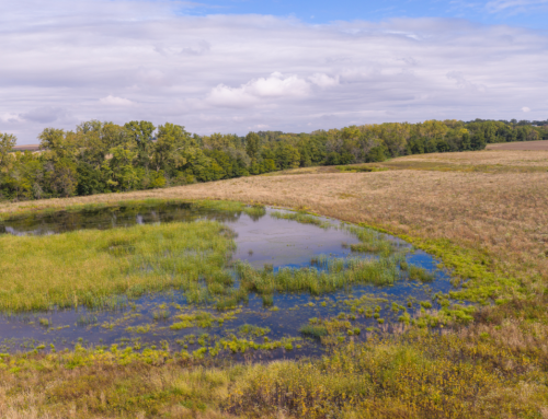 Corporate Water Stewardship Overview